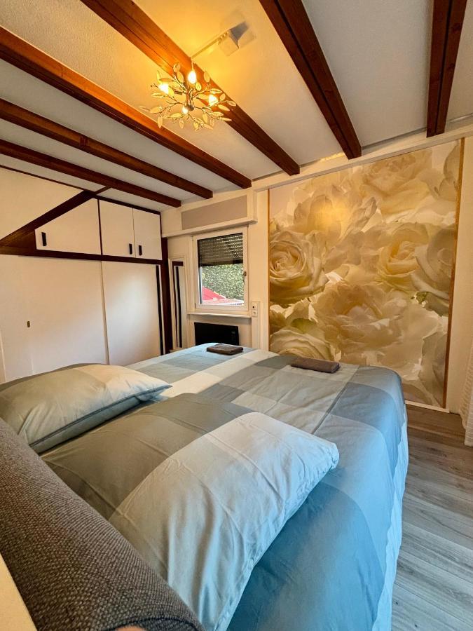 Ferienhaus Veronika Odenwald Brensbach Luaran gambar